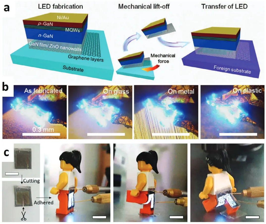 石墨烯上可转移LED塑料衬底柔性LED和可变形LED阵列